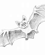 Image result for Bat Animal Pencil Set