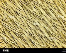 Image result for Patterned Gold Foil