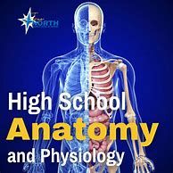 Image result for High School Anatomy