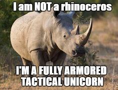 Image result for Unicorn Rhino Marlin Meme