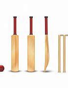 Image result for Cricket Bat Wood 17 Year Boy