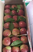 Image result for Kashmiri Apple Box