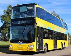 Image result for Articulated Buses