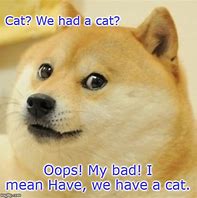 Image result for Be Evil Cat Meme