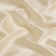 Image result for Champaine Fabric