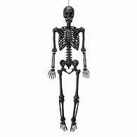 Image result for Halloween Skeleton Toys