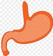 Image result for Stomach Sit Challenge
