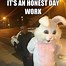 Image result for Rabbit C'mon Meme