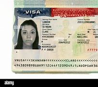 Image result for Work Visa USA
