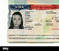 Image result for U Visa USA