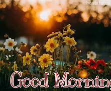 Image result for Amazing Good Morning Images HD
