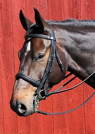 Image result for Bridle Buckles