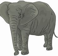 Image result for Real Elephant ClipArt