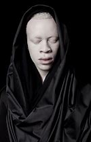 Image result for Albino Bat OC