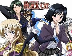 Image result for Black Cat TV Series
