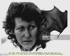 Image result for Fruit Bat an a Albino Rat
