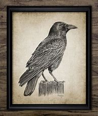 Image result for Gothic Raven Drawings