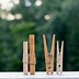 Image result for CC Clothes Pin