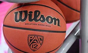 Image result for Spalding NBA Official Game Ball Basketball