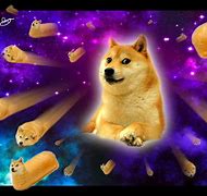 Image result for Cute Galaxy Dog