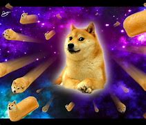 Image result for Galaxy Dog Wallpaper