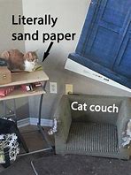 Image result for Cat and Furniture Meme