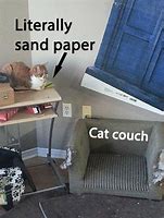 Image result for Cat Toy Under Couch Meme