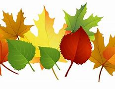 Image result for Fall Leaf Clip Art Free