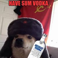 Image result for Vodka Meme Saturday Night