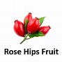 Image result for Rose Apple Fruit Endocarp