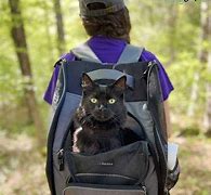 Image result for Cat Carrier Backpack