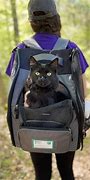 Image result for Cat Holder Backpack