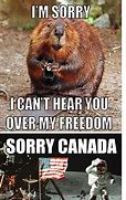 Image result for Canadian Humour
