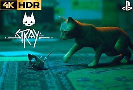 Image result for Stray PS5 Cat