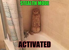 Image result for Stealth Mode Meme