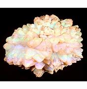 Image result for Pineapple Opal
