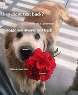 Image result for Love My Dog Meme