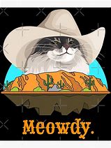 Image result for Sad Cowboy Cat Meme