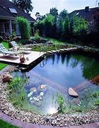 Image result for Kids Swimming Pool Pond Ideas