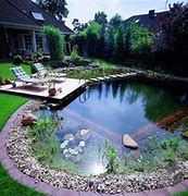 Image result for Pond Pools Backyard