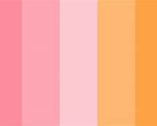 Image result for Pastel Orange-Pink