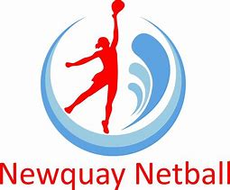 Image result for Netball Ball Logo