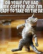 Image result for Wednesday Cat Coffee