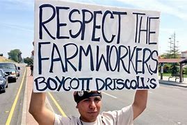 Image result for Anti-Boycott