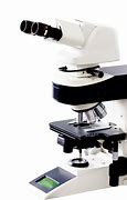 Image result for Picture of a Microscope Compairing 40X to 100X