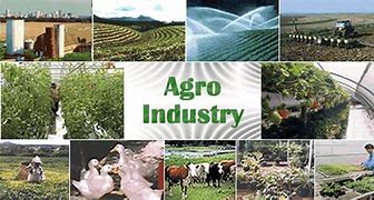 Image result for agro9ndustria