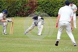 Image result for Artistic Impression of Bowled Out in Cricket