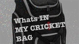 Image result for Money Bag Cricket