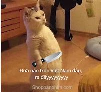 Image result for Ảnh Meme Trôn VN