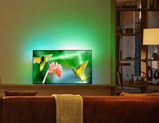 Image result for What Are the Largest TV Monitors